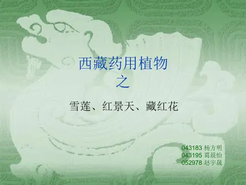 西藏药用植物之