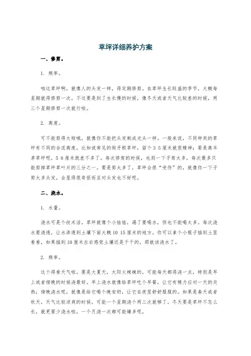 草坪详细养护方案