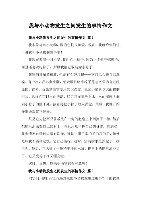 我与小动物发生之间发生的事情作文