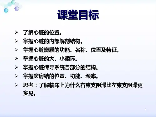 最新心脏的解剖结构及传导系统PPT课件