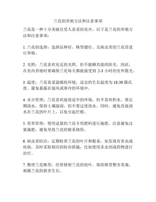 兰花的养殖方法和注意事项