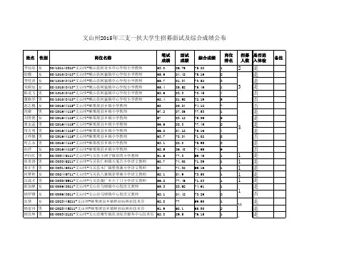 文山州2015年三支一扶大学生招募面试及综合成绩公布xls
