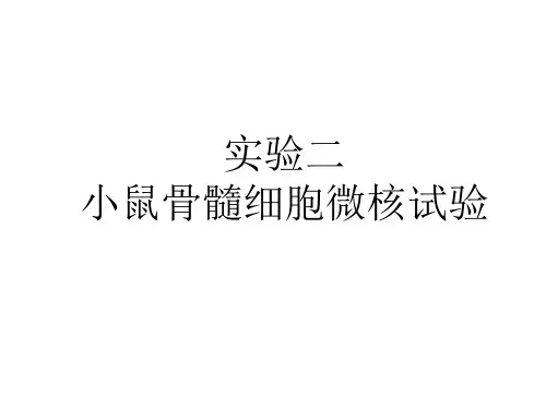 《动物毒理实验》课件：实验二 小鼠骨髓细胞微核试验