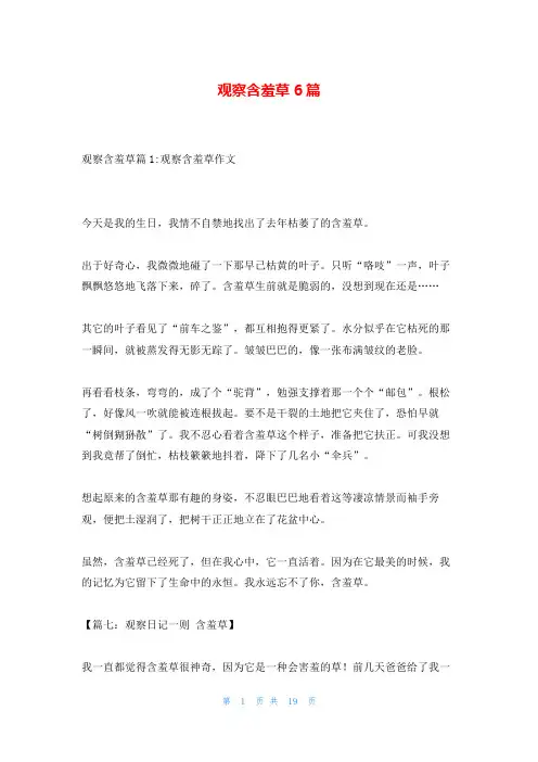 观察含羞草6篇