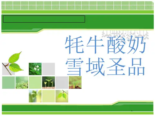 牦牛奶PPT精选文档