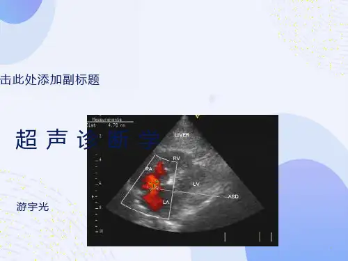 超声诊断学-02基础和原理游宇光