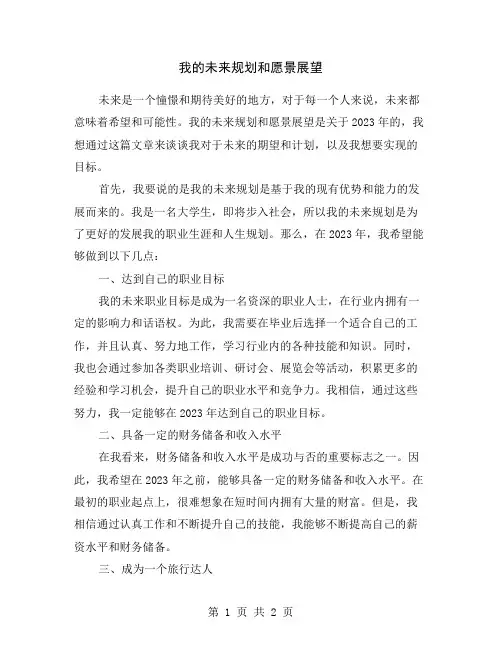 我的未来规划和愿景展望