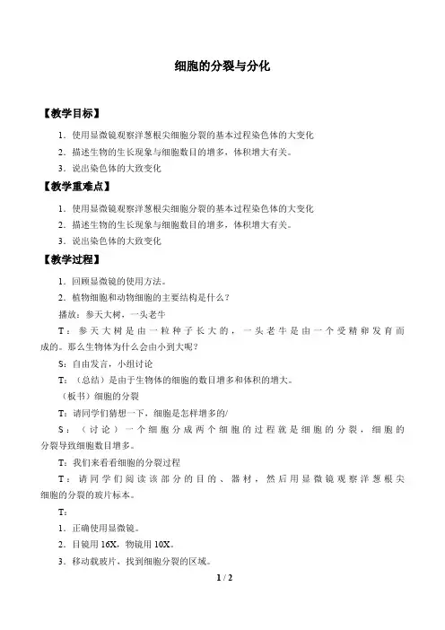 苏教版七年级生物上册：3.3 细胞分裂与分化  教案