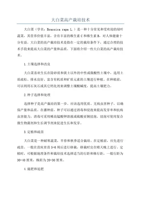 大白菜高产栽培技术