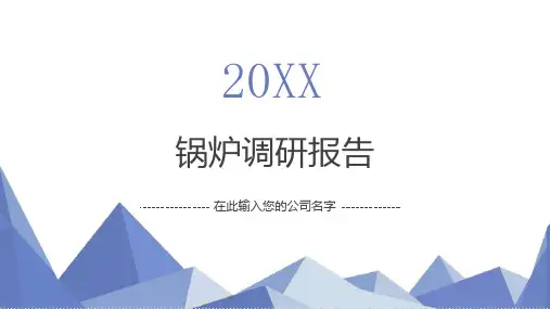 锅炉调研报告