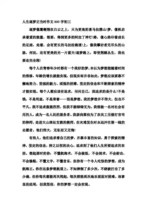 人生逐梦正当时作文800字初三