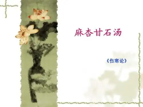 3麻杏甘石汤
