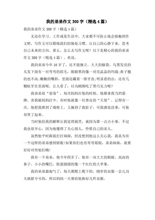 我的弟弟作文300字(4篇)
