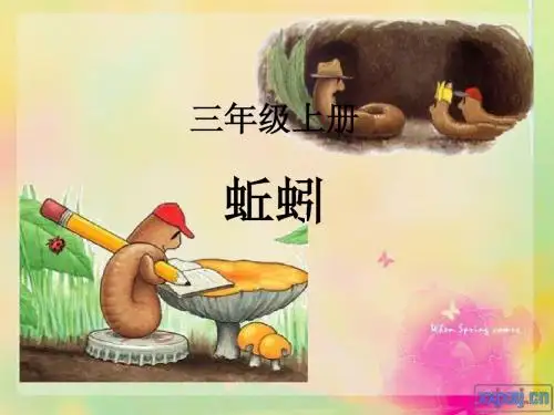 科学三年级上册《蚯蚓》课件 教科版
