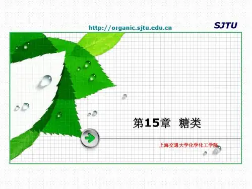 上海交通大学有机化学第15章 糖类