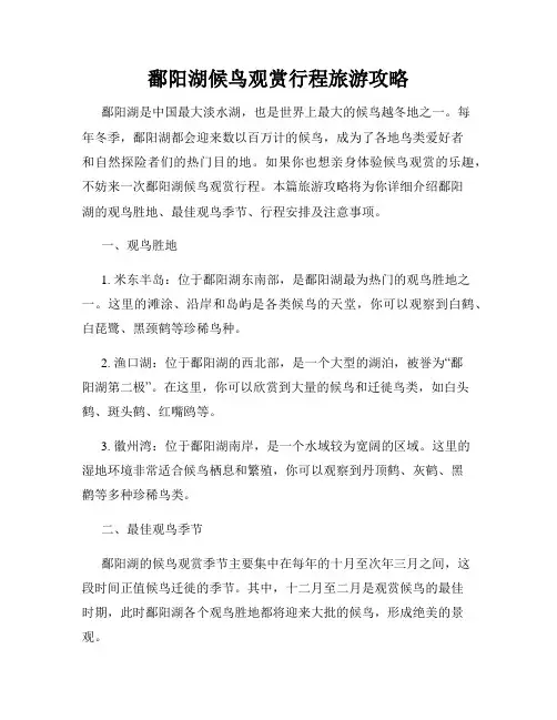 鄱阳湖候鸟观赏行程旅游攻略