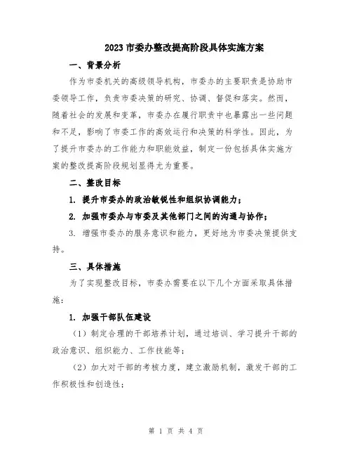 2023市委办整改提高阶段具体实施方案
