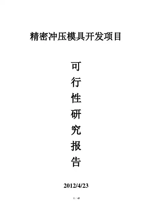 精密冲压模具项目可行性研究报告