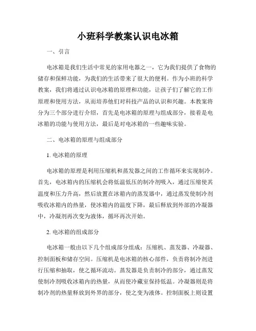 小班科学教案认识电冰箱