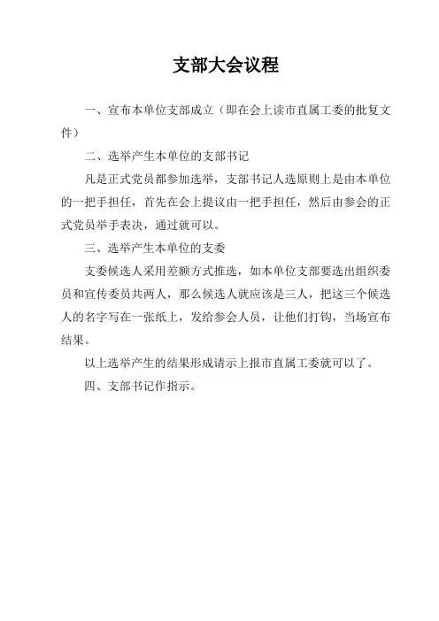 支部大会议程