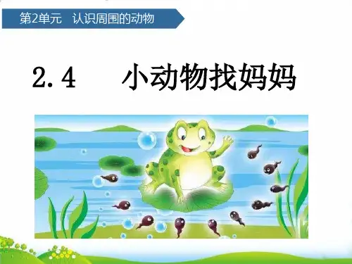 【冀教版】科学PPT-《动物》PPT-专家课件1