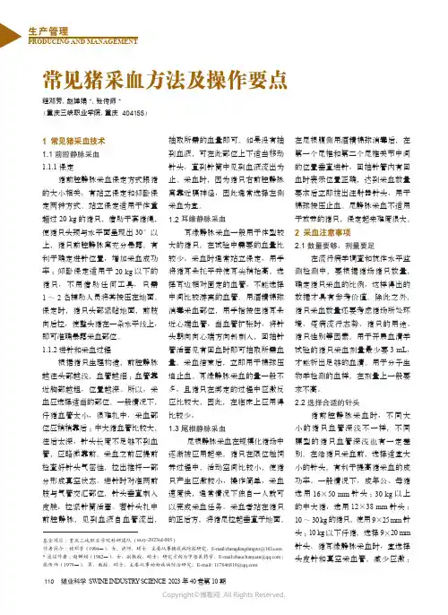 常见猪采血方法及操作要点
