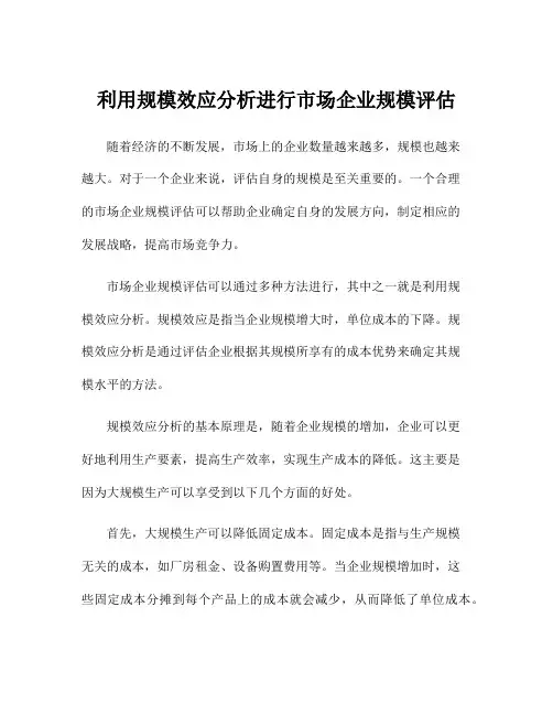 利用规模效应分析进行市场企业规模评估