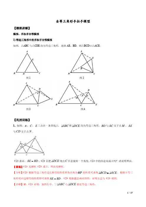 【中】全等三角形手拉手模型(解析版)