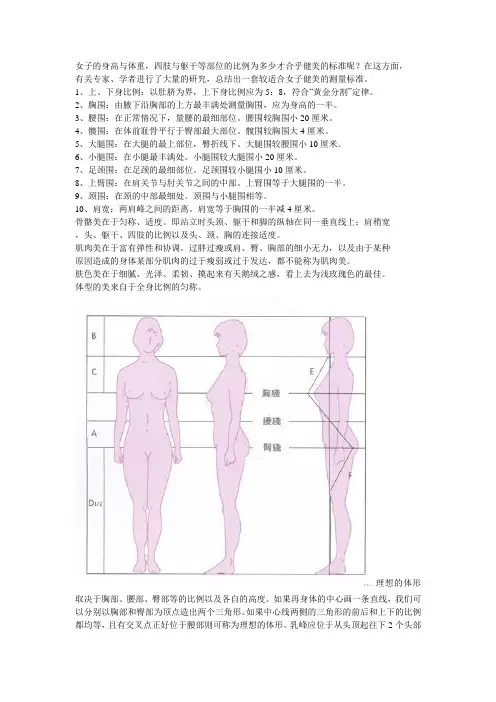 女性标准身材比例对照表