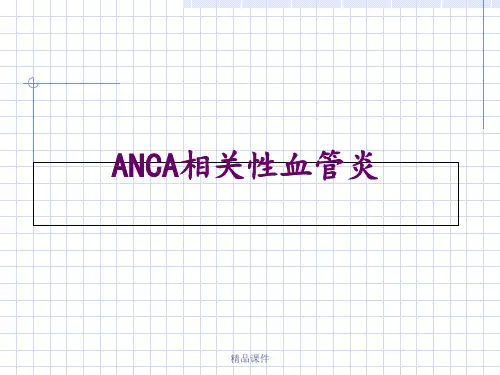 ANCA相关性血管炎ppt课件