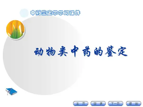中药鉴定学PPT课件：动物类中药的鉴定