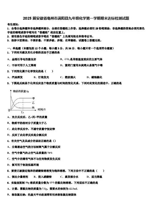 2025届安徽省亳州市涡阳县九年级化学第一学期期末达标检测试题含解析