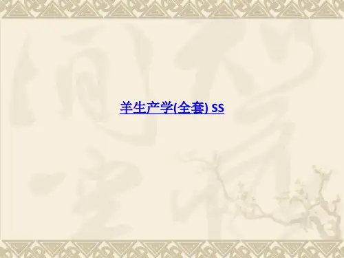 羊生产学全套 PPT课件
