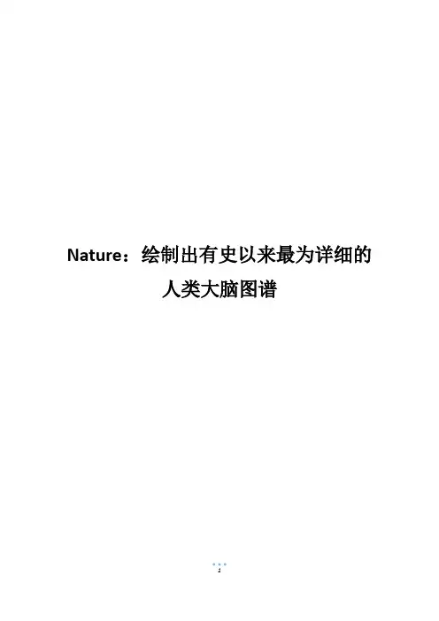 Nature：绘制出有史以来最为详细的人类大脑图谱