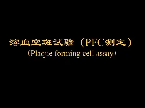 医学免疫学：溶血空斑试验(PFC测定)