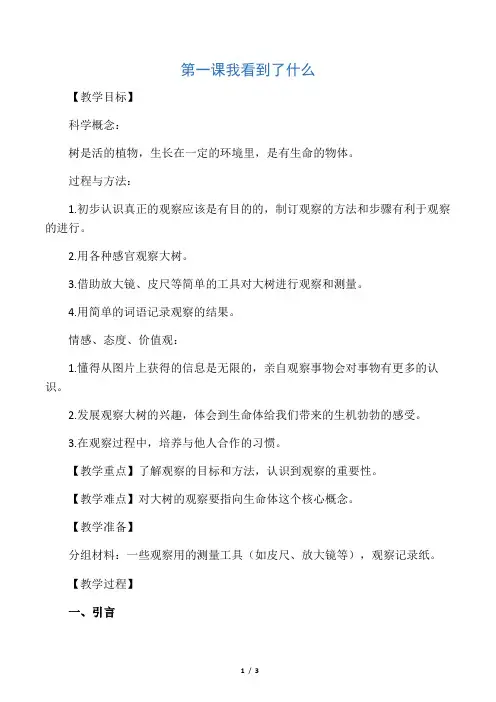 三年级科学上册 我看到了什么教案 教科版