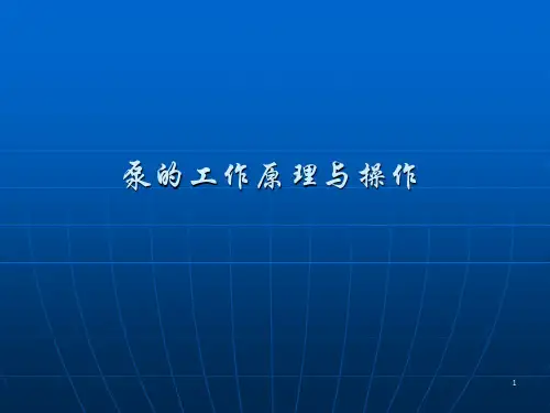 泵的工作原理与操作ppt课件