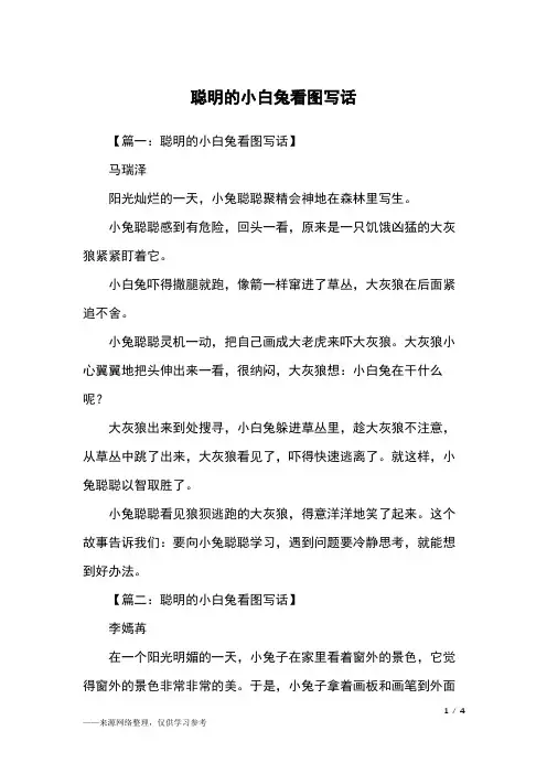 聪明的小白兔看图写话_二年级作文