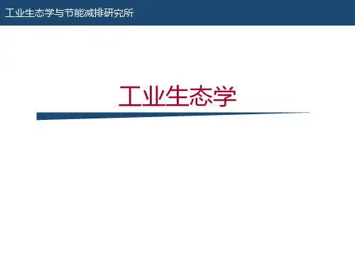 工业生态学  第一章、工业生态学的总体印象ppt