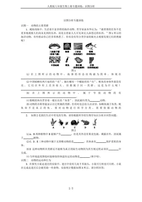 人教版八年级生物上册专题训练：识图分析