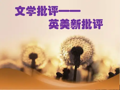 英美新批评讲.ppt课件