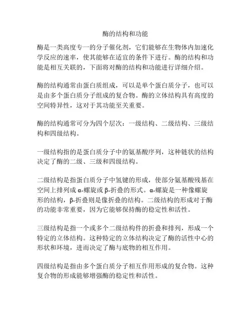酶的结构和功能