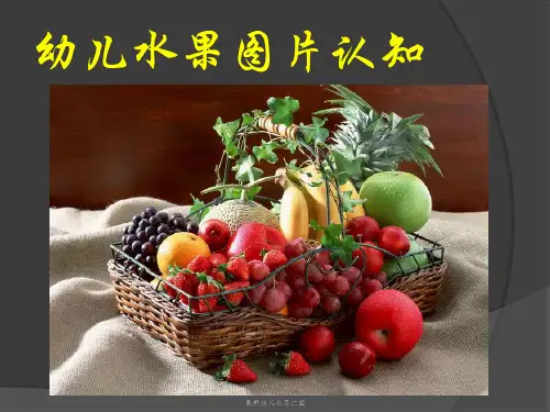 最新幼儿水果识图