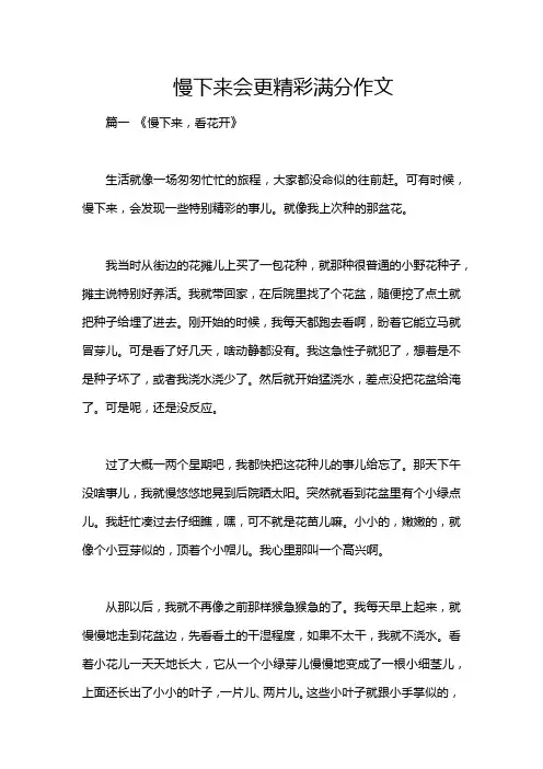 慢下来会更精彩满分作文