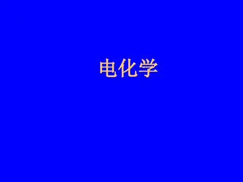 电化学PPT课件