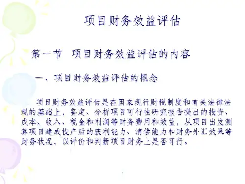 《项目财务效益评估》