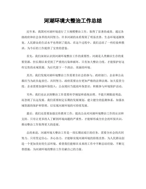河湖环境大整治工作总结