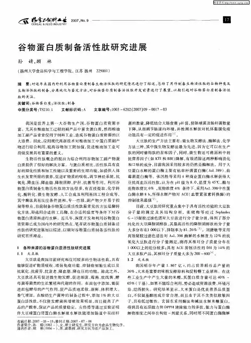 谷物蛋白质制备活性肽研究进展