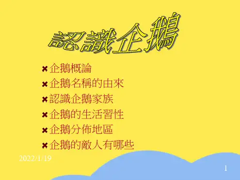 企鹅概论(“企鹅”相关文档)共7张