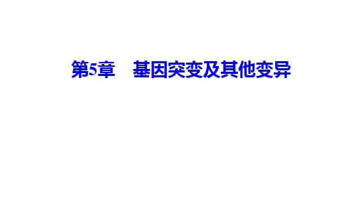 新教材人教版必修第二册  第5章 第3节  人类遗传病 课件